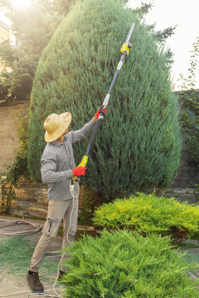 Best Tree Mulching  in Creswell, OR